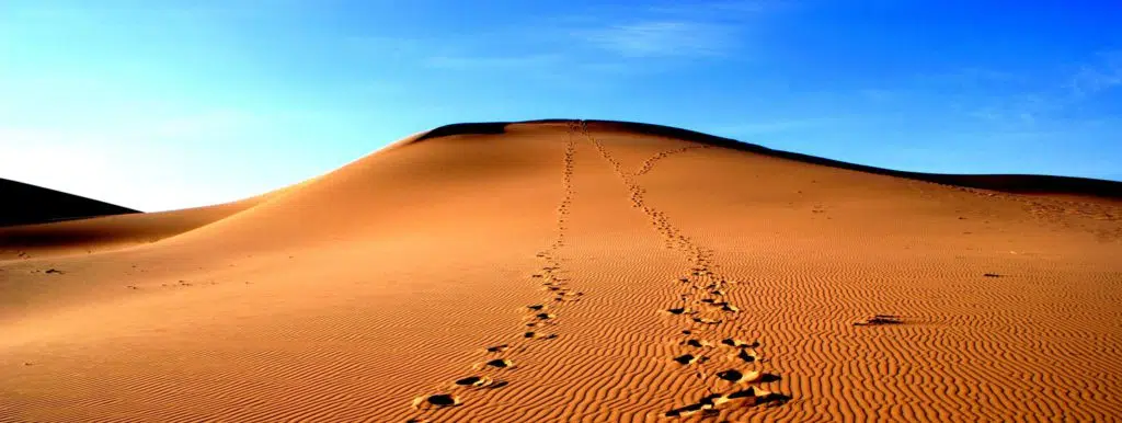 Nomadic Expeditions - From the Altai to the Gobi Featuring the Naadam Festival