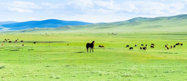 Mongolia Group Journeys