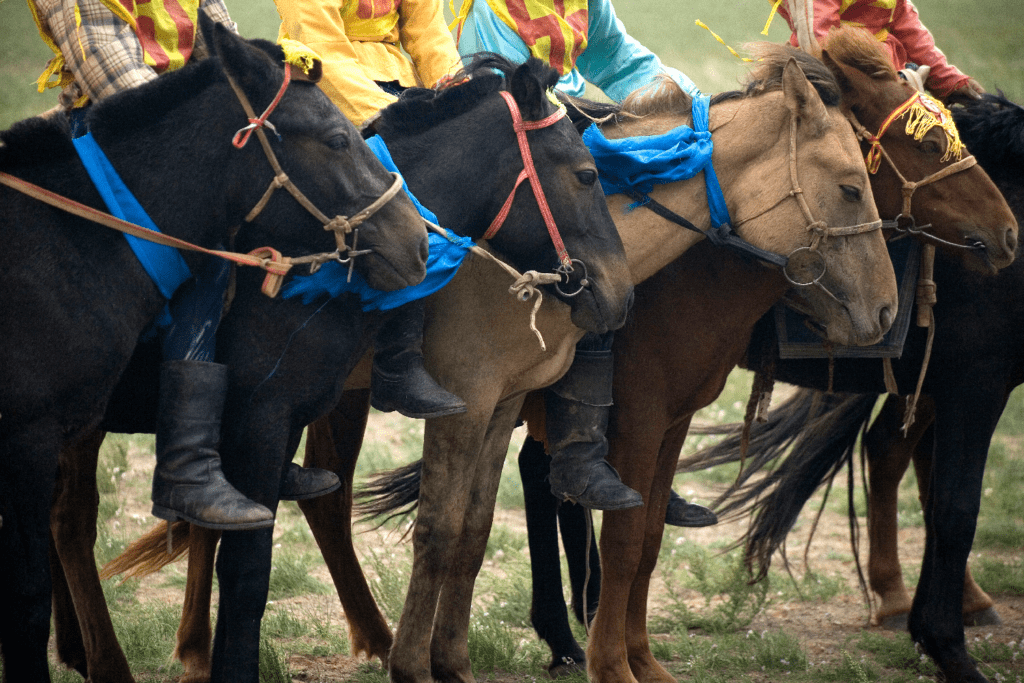 What to Expect When You Attend Naadam Festival