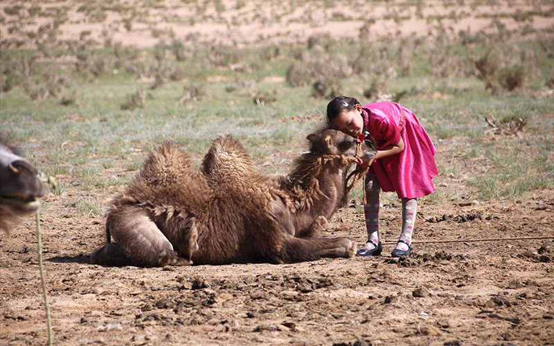 Camel & Girl