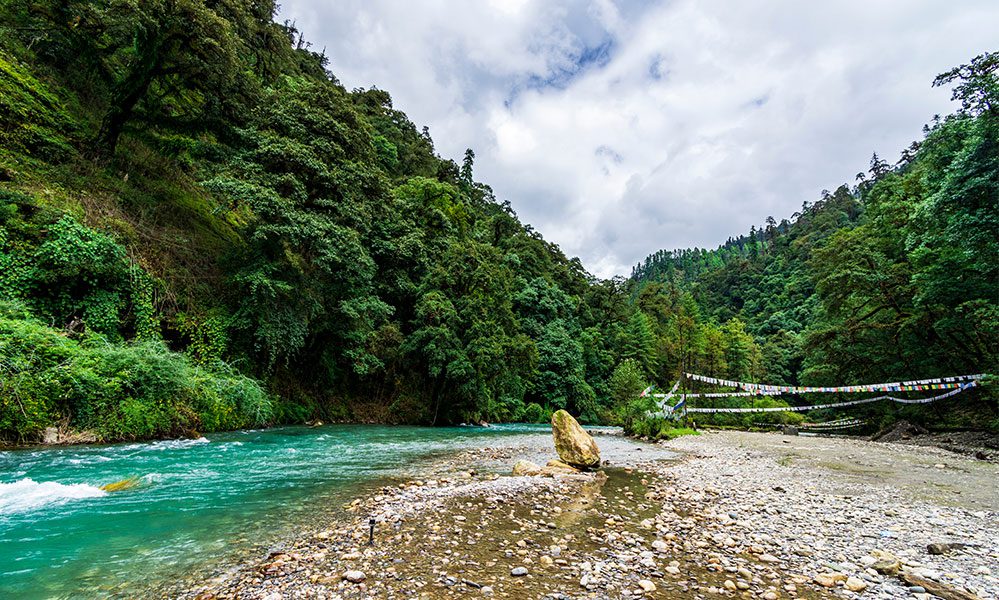 BHUTAN Jigme Dorji National Park