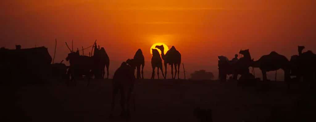 Nomadic Expeditions Rajasthan