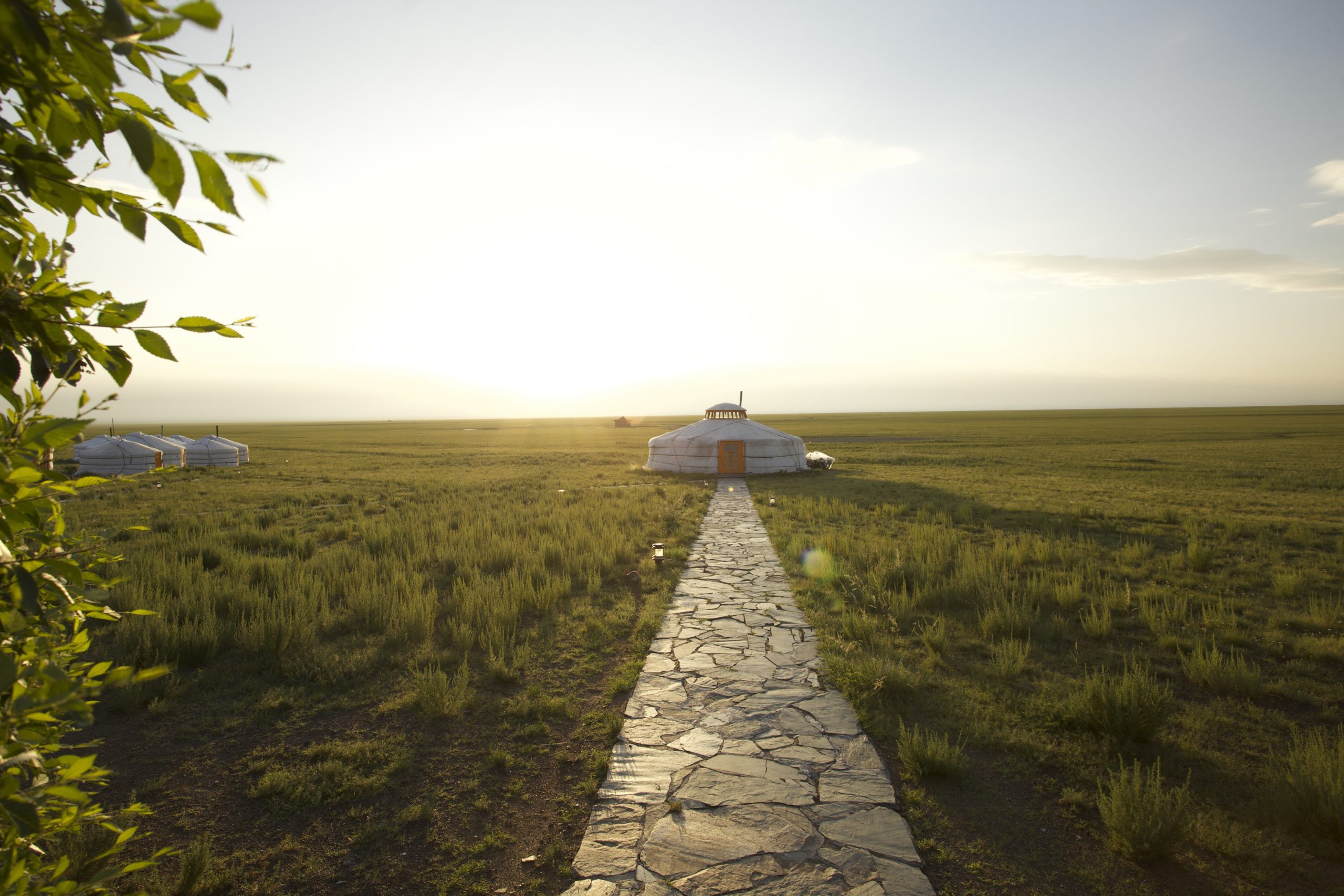 Best COVID Travel Destinations 2022: 10 Reasons Mongolia Is Top of the List