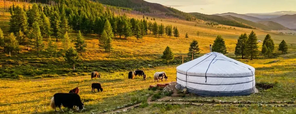 Mongolia Must-Reads: The Essential Books about Mongolia [UPDATED for 2022]