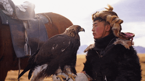 NOEX_UNDRAA_Mongolia
