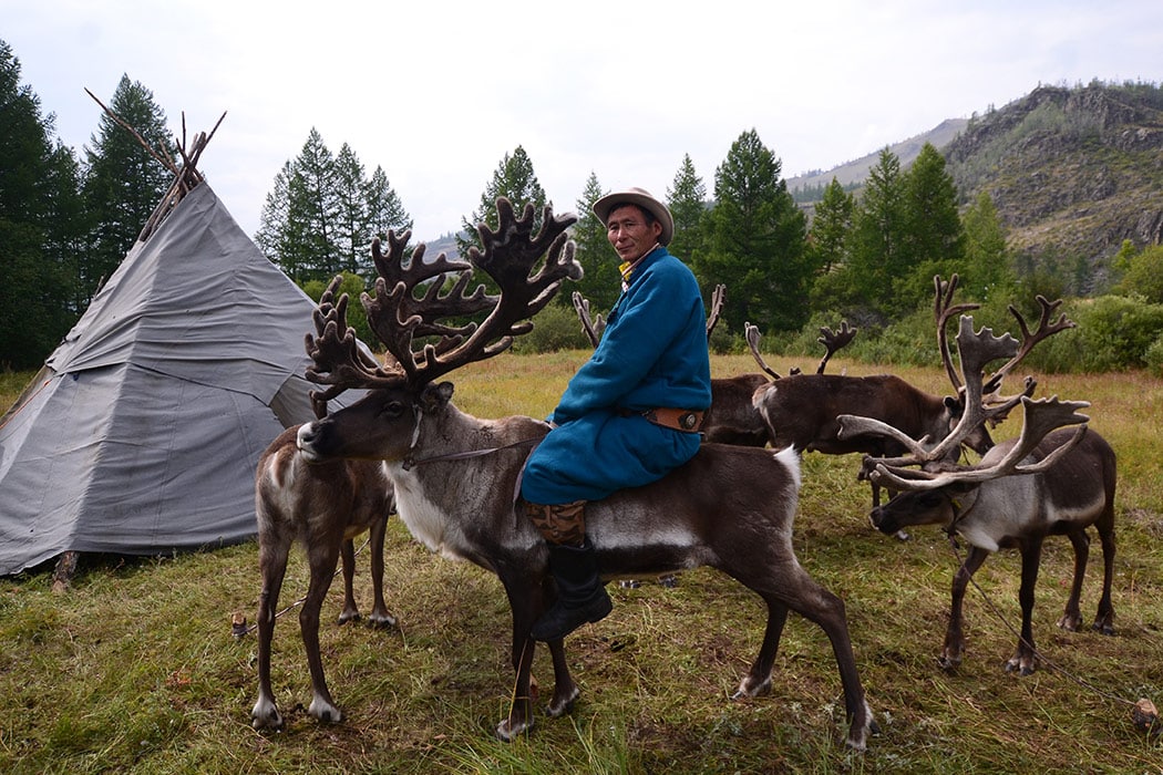 Top Mongolia Travel Highlights by Region