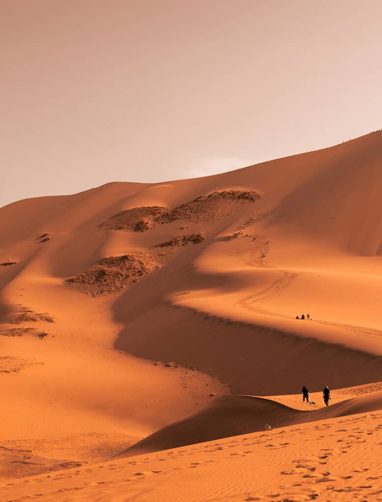 Nomadic Expeditions - Book a Journey to Mongolia